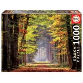 PUZZLE PASEO OTOÑAL 1000 Piezas