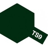 VERDE INGLES (BRILLO) (TS-9)